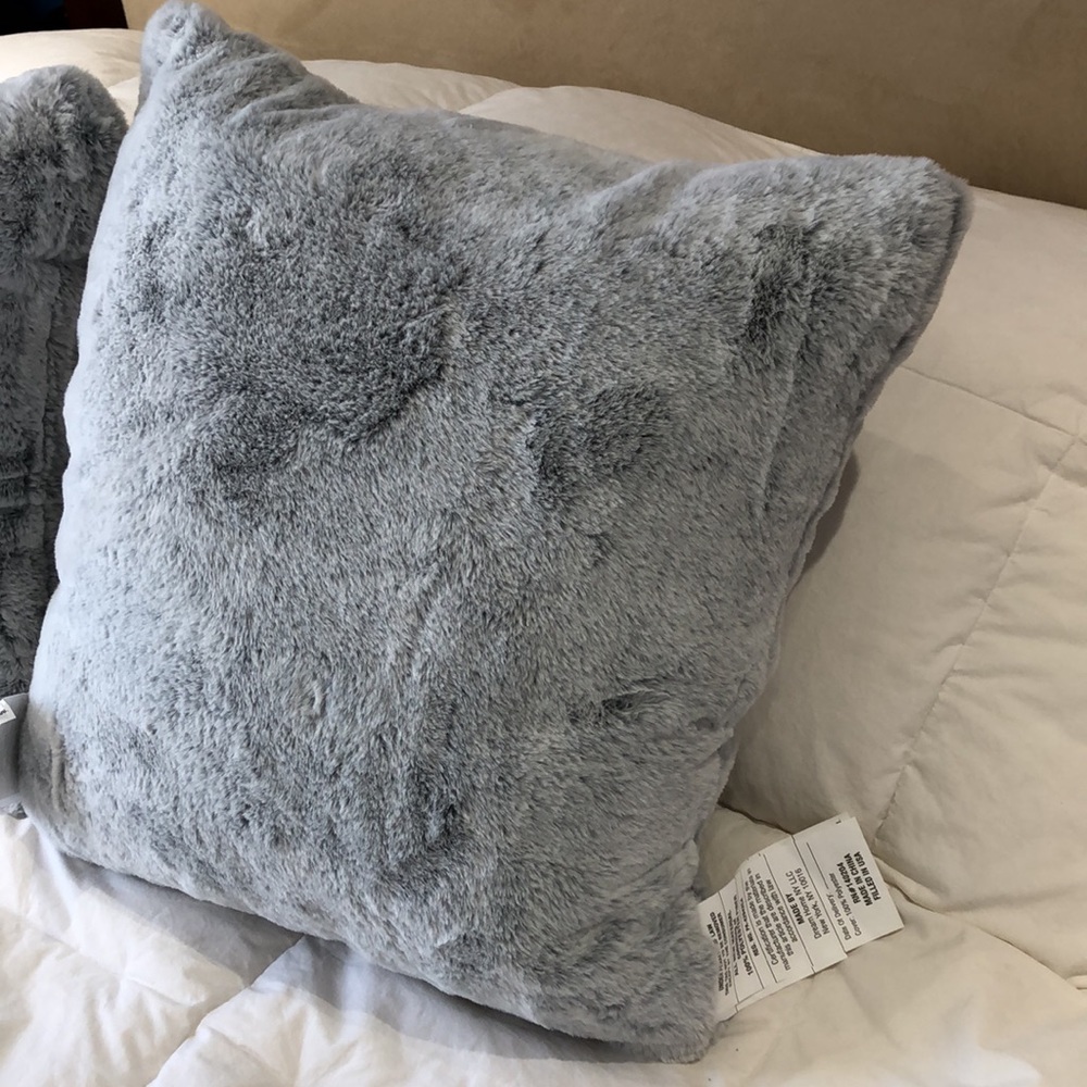Pair of pillows. Bed, Bath & Beyond throw pillows. Powder blue. Pillow and cover - Picture 2 of 8